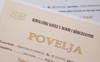 Bosnia hétvége csodás eredményekkel!