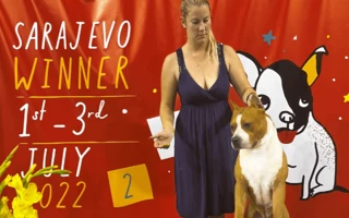 Sarajevo Winner Dog Show 2022.07.01-03